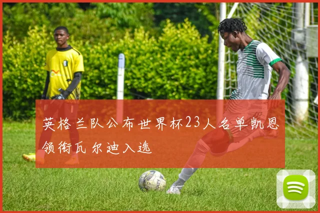 英格兰队公布世界杯23人名单凯恩领衔瓦尔迪入选