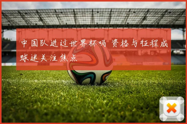 中国队进过世界杯吗 资格与征程成球迷关注焦点