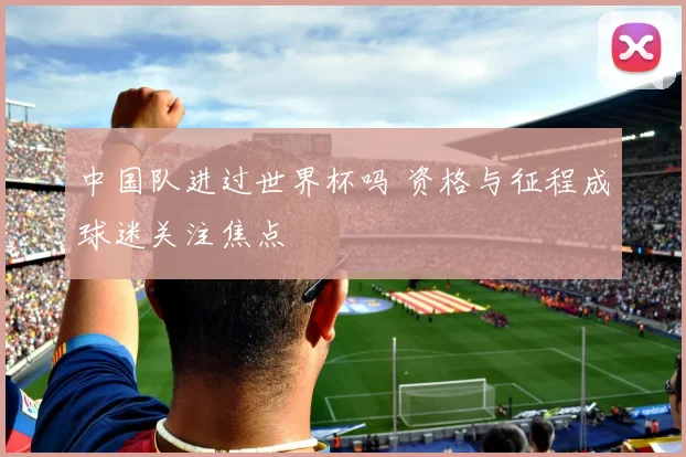 中国队进过世界杯吗 资格与征程成球迷关注焦点