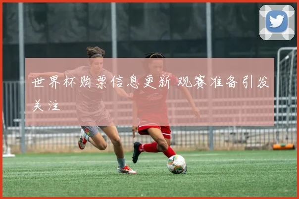 世界杯购票信息更新 观赛准备引发关注