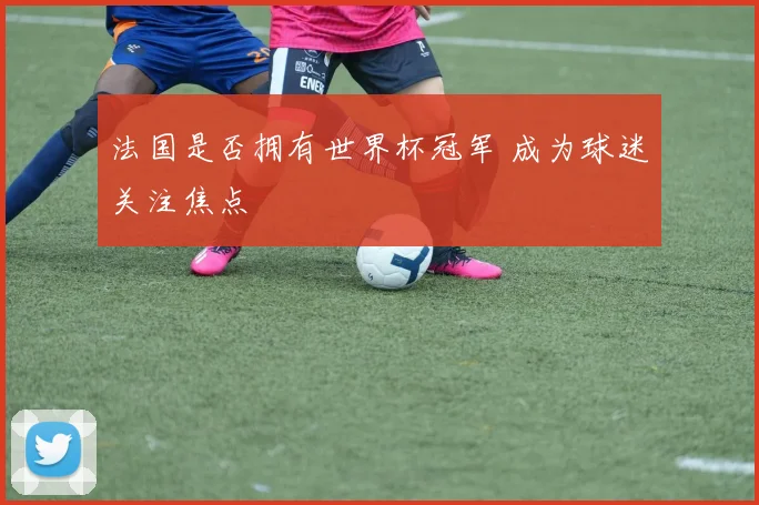 法国是否拥有世界杯冠军 成为球迷关注焦点